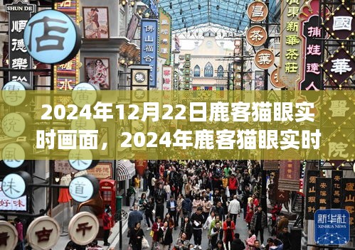 2024年鹿客貓眼實時畫面，智能安防的新視界展望