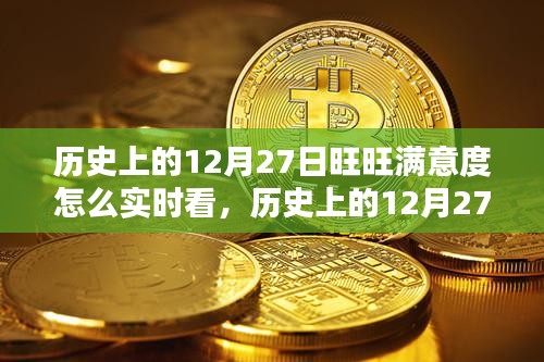 歷史上的12月27日旺旺滿意度實(shí)時(shí)查看指南，初學(xué)者與進(jìn)階用戶必看