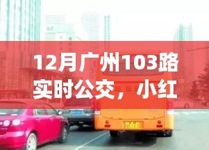 揭秘廣州公交新體驗，小紅書推薦下的廣州公交103路實時動態(tài)（12月版）