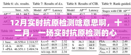 十二月實時抗原檢測，心靈凈化之旅的啟程