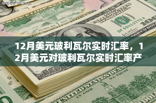 12月美元對玻利瓦爾實(shí)時(shí)匯率詳解，產(chǎn)品與評測一網(wǎng)打盡