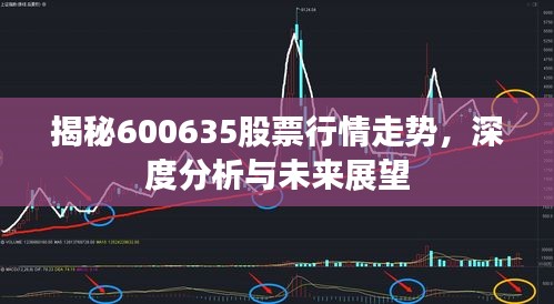 揭秘600635股票行情走勢(shì)，深度分析與未來展望