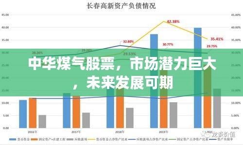 中華煤氣股票，市場(chǎng)潛力巨大，未來發(fā)展可期