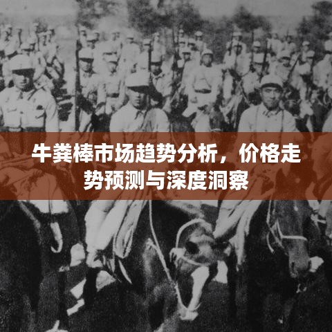 牛糞棒市場趨勢分析，價格走勢預測與深度洞察