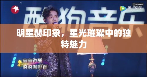 明星赫印象，星光璀璨中的獨(dú)特魅力