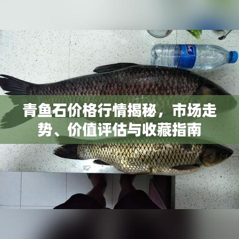 青魚石價(jià)格行情揭秘，市場(chǎng)走勢(shì)、價(jià)值評(píng)估與收藏指南
