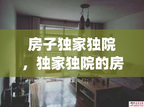 房子獨家獨院，獨家獨院的房子裝修效果圖 
