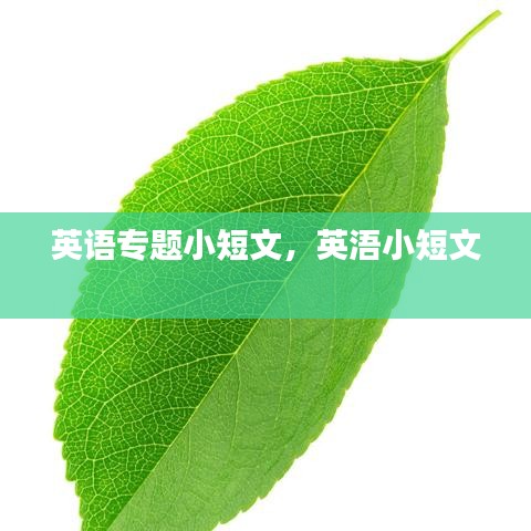英語專題小短文，英浯小短文 