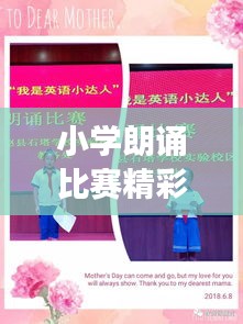 小學(xué)朗誦比賽精彩瞬間回顧，孩子們的語言藝術(shù)之旅總結(jié)