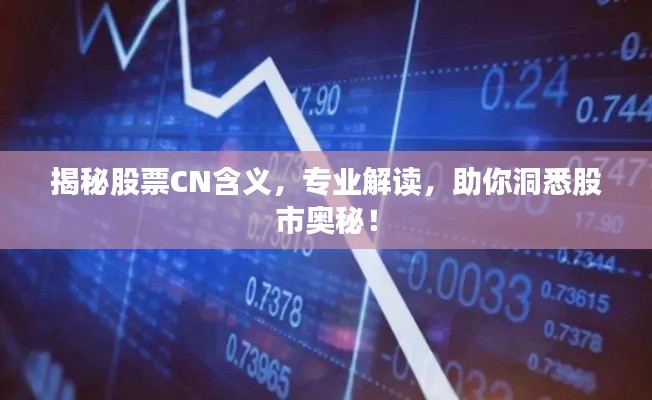 揭秘股票CN含義，專業(yè)解讀，助你洞悉股市奧秘！