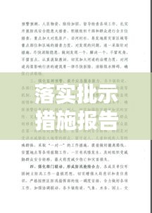 落實批示措施報告，批示落實情況 