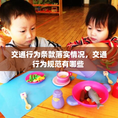 交通行為條款落實(shí)情況，交通行為規(guī)范有哪些 