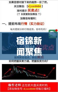 宿錦新聞聚焦時事熱點，解讀地方發(fā)展新動態(tài)