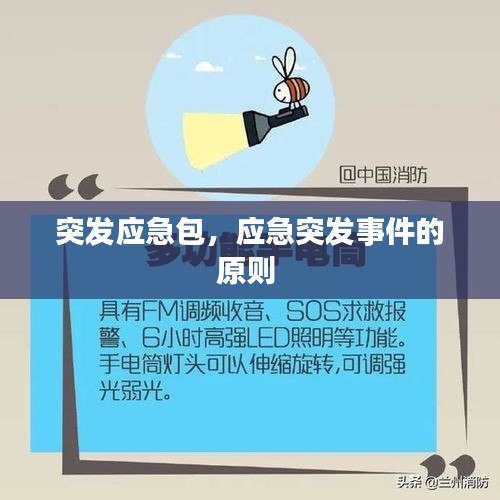 突發(fā)應(yīng)急包，應(yīng)急突發(fā)事件的原則 