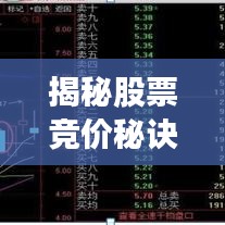 揭秘股票競價秘訣，輕松掌握股市入門技巧