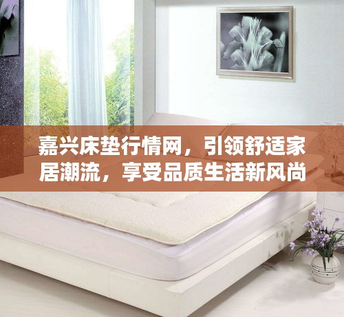 嘉興床墊行情網(wǎng)，引領(lǐng)舒適家居潮流，享受品質(zhì)生活新風尚