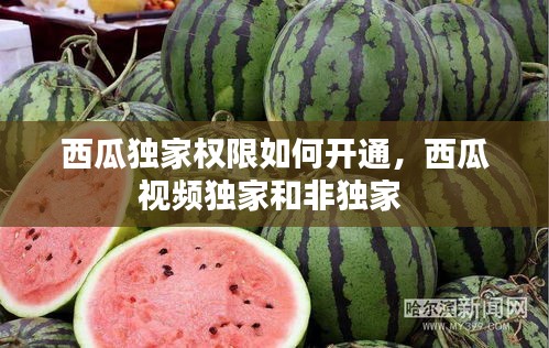 西瓜獨(dú)家權(quán)限如何開通，西瓜視頻獨(dú)家和非獨(dú)家 