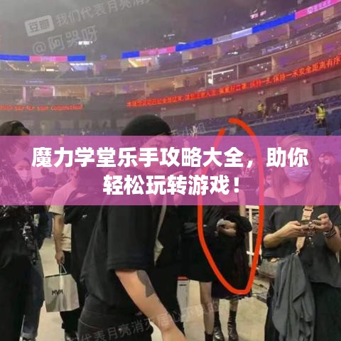 魔力學(xué)堂樂手攻略大全，助你輕松玩轉(zhuǎn)游戲！