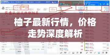 柚子最新行情，價(jià)格走勢(shì)深度解析