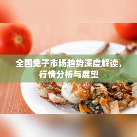 全國(guó)兔子市場(chǎng)趨勢(shì)深度解讀，行情分析與展望