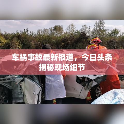 車禍事故最新報道，今日頭條揭秘現(xiàn)場細節(jié)