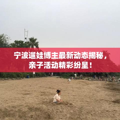 寧波遛娃博主最新動態(tài)揭秘，親子活動精彩紛呈！