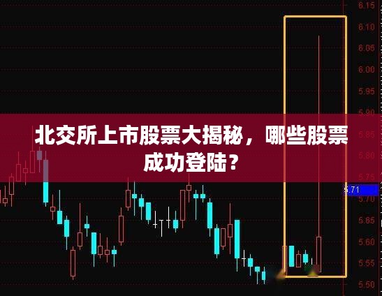 北交所上市股票大揭秘，哪些股票成功登陸？