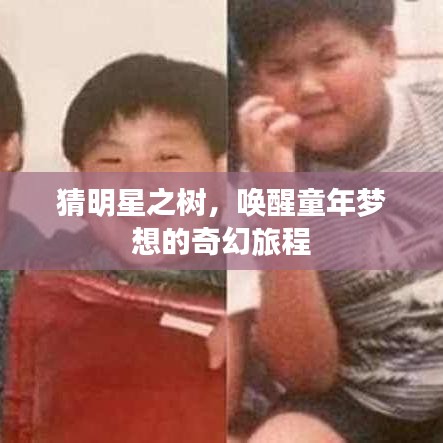 猜明星之樹，喚醒童年夢想的奇幻旅程