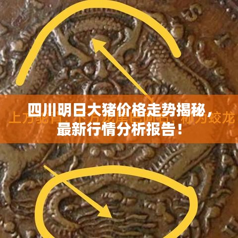四川明日大豬價格走勢揭秘，最新行情分析報告！