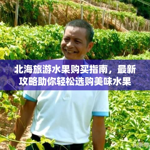 北海旅游水果購(gòu)買(mǎi)指南，最新攻略助你輕松選購(gòu)美味水果