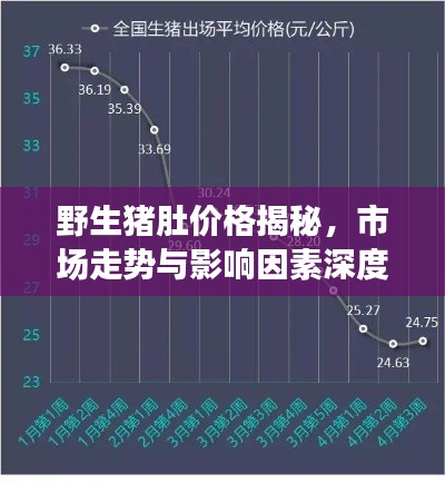 野生豬肚價格揭秘，市場走勢與影響因素深度解析