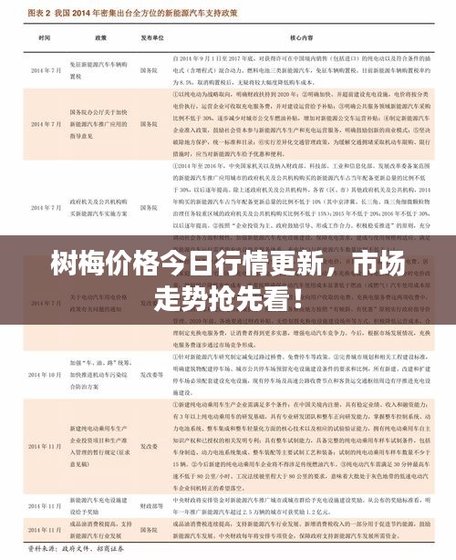 樹梅價(jià)格今日行情更新，市場走勢搶先看！