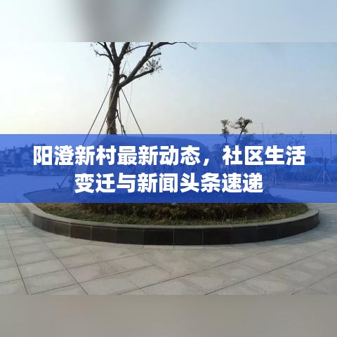 陽澄新村最新動態(tài)，社區(qū)生活變遷與新聞頭條速遞