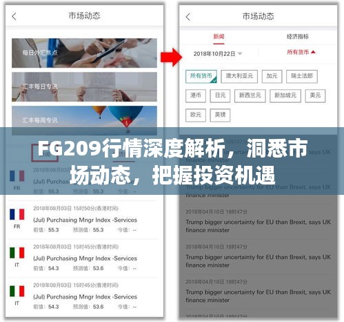 FG209行情深度解析，洞悉市場動態(tài)，把握投資機(jī)遇