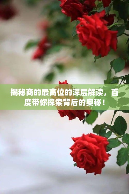 揭秘商的最高位的深層解讀，百度帶你探索背后的奧秘！