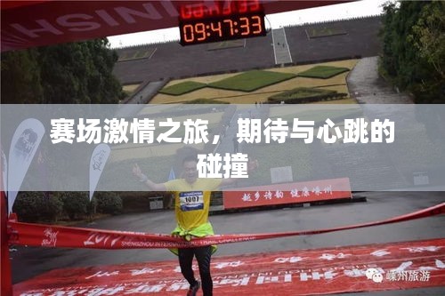 賽場(chǎng)激情之旅，期待與心跳的碰撞