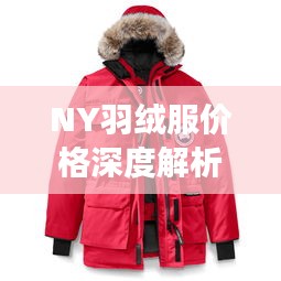 NY羽絨服價格深度解析，了解真實價格，選購更明智！