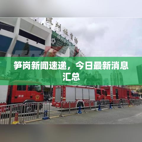 筍崗新聞速遞，今日最新消息匯總