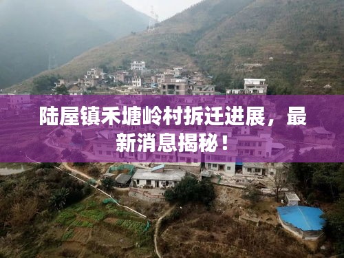 陸屋鎮(zhèn)禾塘嶺村拆遷進展，最新消息揭秘！