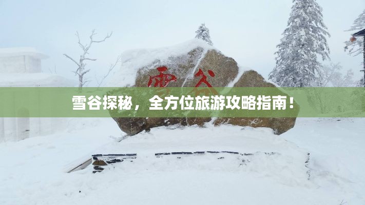 雪谷探秘，全方位旅游攻略指南！