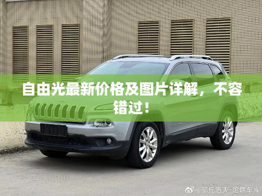 自由光最新價格及圖片詳解，不容錯過！