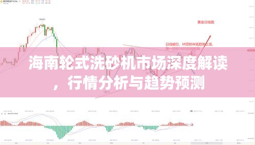 海南輪式洗砂機(jī)市場(chǎng)深度解讀，行情分析與趨勢(shì)預(yù)測(cè)