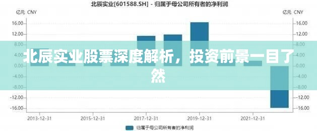 北辰實(shí)業(yè)股票深度解析，投資前景一目了然