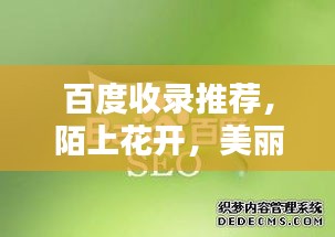 百度收錄推薦，陌上花開(kāi)，美麗邂逅盡在百度之中