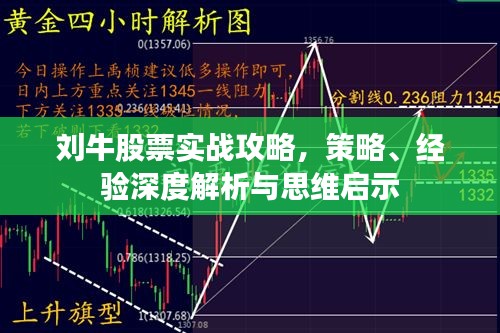 劉牛股票實(shí)戰(zhàn)攻略，策略、經(jīng)驗(yàn)深度解析與思維啟示