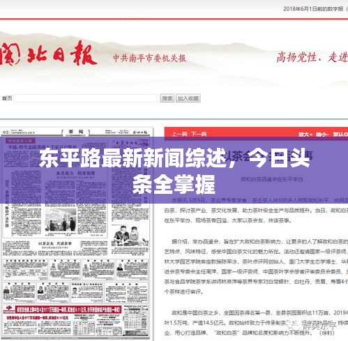 東平路最新新聞綜述，今日頭條全掌握