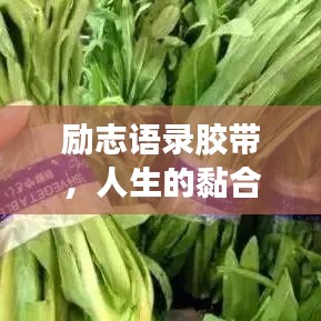 勵(lì)志語(yǔ)錄膠帶，人生的黏合劑，引領(lǐng)你走向成功之路