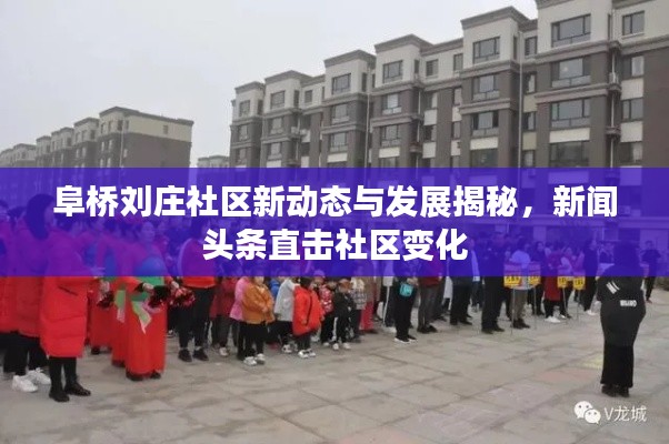 阜橋劉莊社區(qū)新動(dòng)態(tài)與發(fā)展揭秘，新聞?lì)^條直擊社區(qū)變化