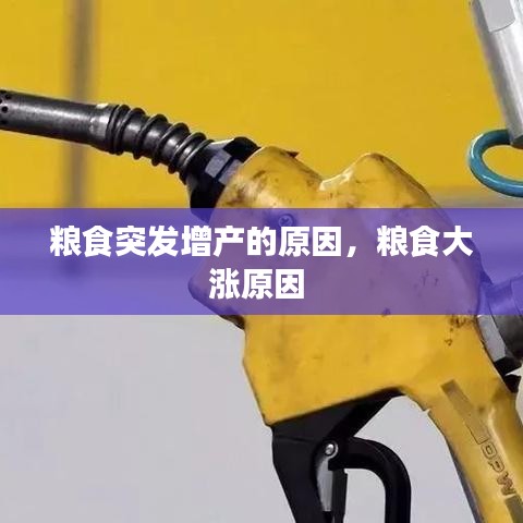 糧食突發(fā)增產(chǎn)的原因，糧食大漲原因 