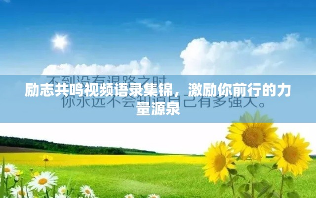 勵志共鳴視頻語錄集錦，激勵你前行的力量源泉